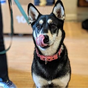 Meet your Posher, Jill